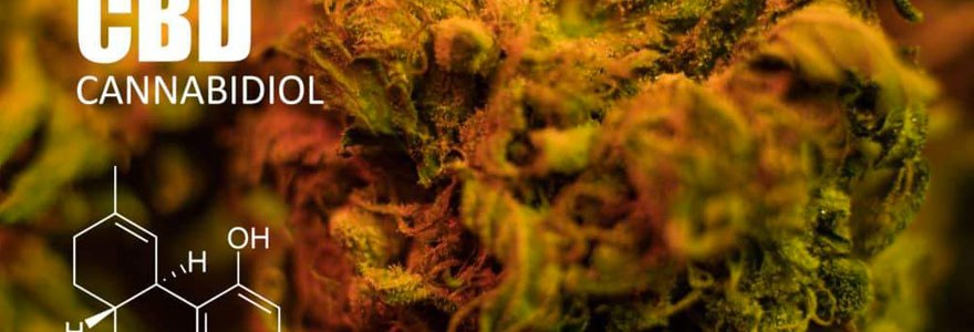 Quels Sont Les Effets Du Cannabidiol Sur Chaque Personne Quels Sont Les Effets Du Cannabidiol Sur Chaque Personne